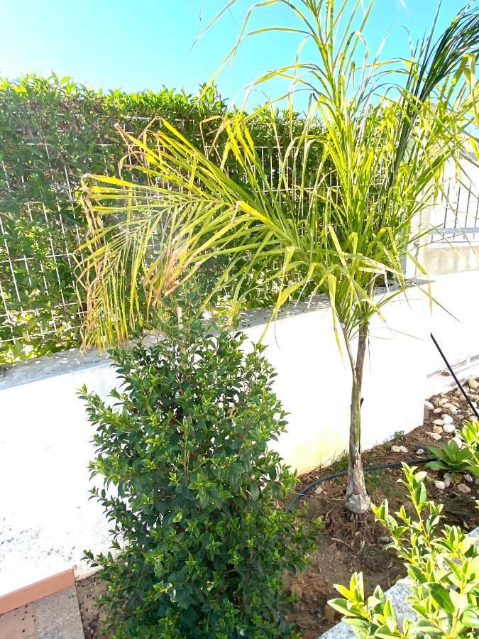 Villa Med - Private Pool, Garden, Sun All Day, Stunning Views Albufeira Eksteriør billede